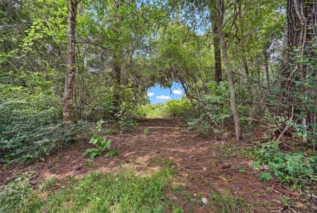 TBA North section 3340 Cr 325, Navasota, TX 77868