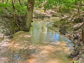 TBD Hwy 1745, Colmesneil, TX 75938