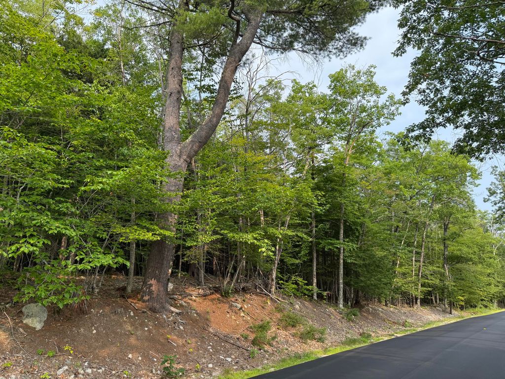 Lot 15-3B Sweden Road, Bridgton, ME 04009 — photo 2