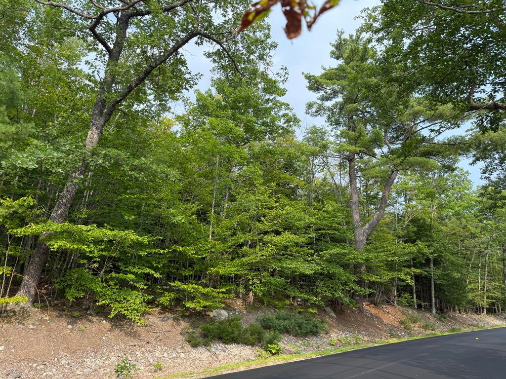Lot 15-3B Sweden Road, Bridgton, ME 04009 — photo 3