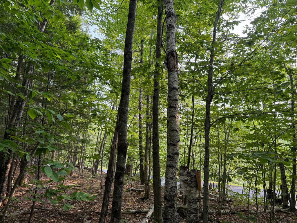 Lot 15-3B Sweden Road, Bridgton, ME 04009 — photo 4