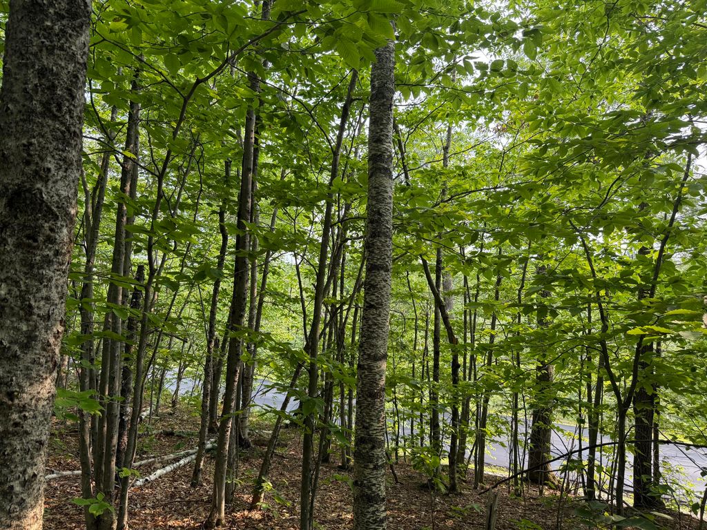 Lot 15-3B Sweden Road, Bridgton, ME 04009 — photo 5