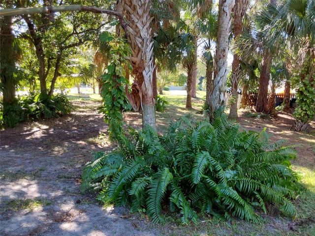 722 Wentworth Street, Sebastian, FL 32958