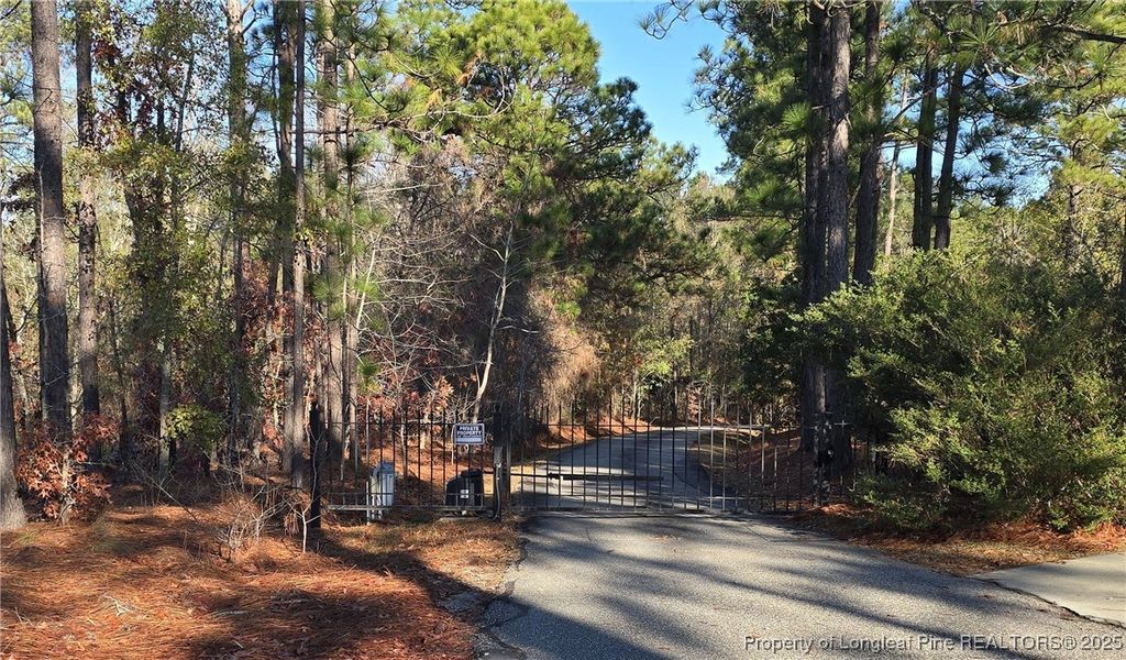 6518 Stone Mountain Farm Road, Fayetteville, NC 28311 — photo 2