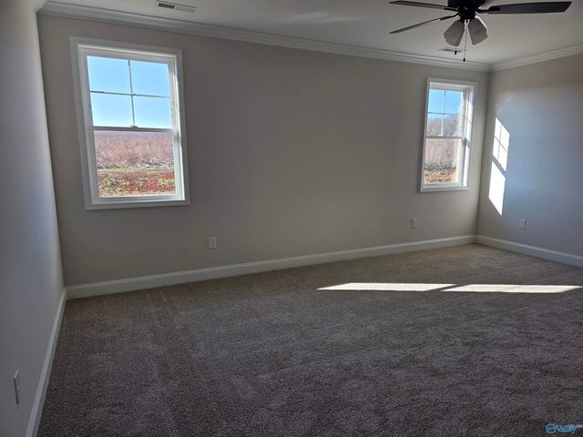 138 Brier View Drive, Meridianville, AL 35759