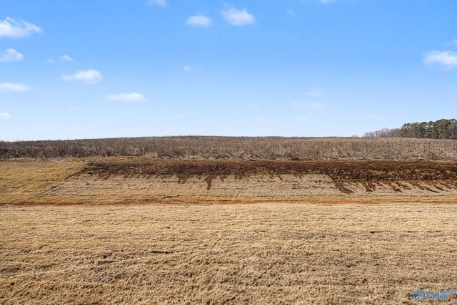 138 Brier View Drive, Meridianville, AL 35759