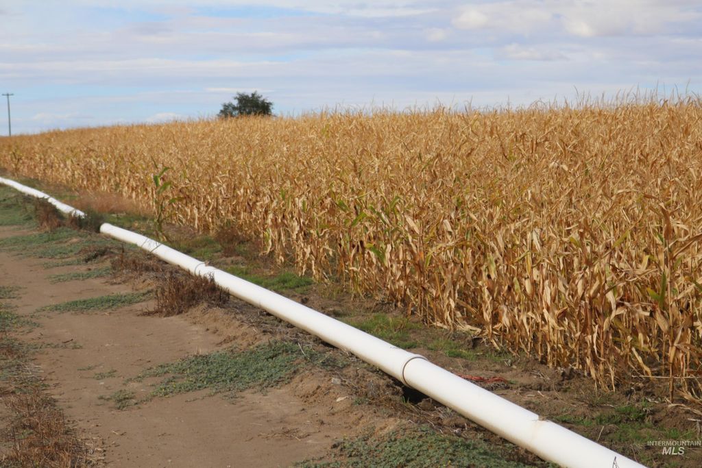 4465 Oak Road, Ontario, OR 97914 photo 2