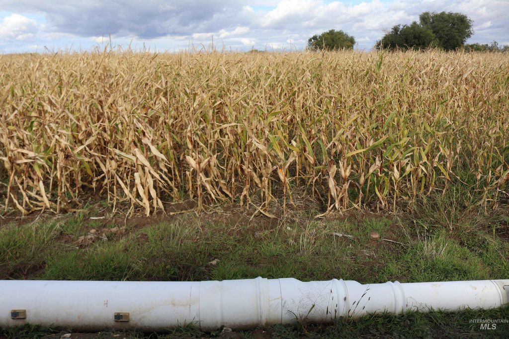 4465 Oak Road, Ontario, OR 97914 photo 3