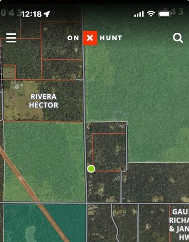 11164 N Merrillville Road, Eden Twp, MI 49644