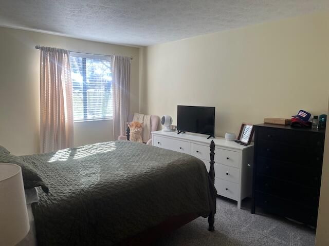 42 Woodland Hills Drive, 1, Southgate, KY 41071