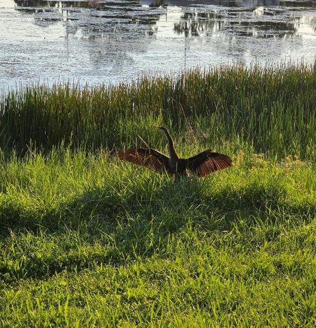 4821 72ND AVENUE N, Pinellas Park, FL 33781