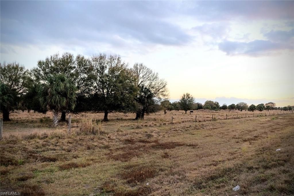 2549 W State Road 80, LABELLE, FL 33935 — photo 5