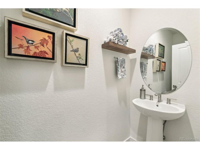 3251 Virga Loop, Colorado Springs, CO 80904