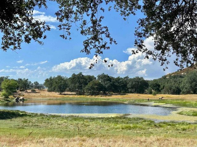 25258 Black Canyon Road, Santa Ysabel, CA 92070