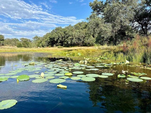 25258 Black Canyon Road, Santa Ysabel, CA 92070