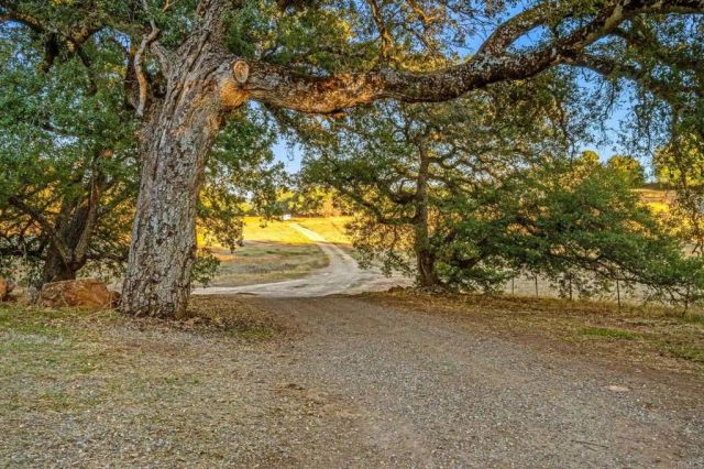 25258 Black Canyon Road, Santa Ysabel, CA 92070