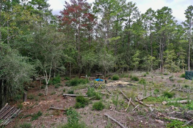 2 W Bluebottle Court, Defuniak Springs, FL 32433