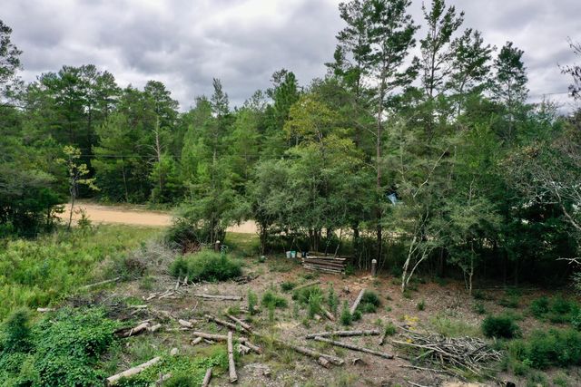 2 W Bluebottle Court, Defuniak Springs, FL 32433