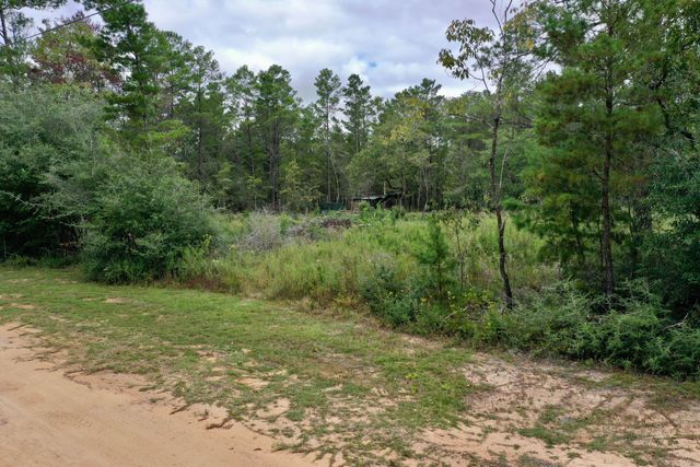 2 W Bluebottle Court, Defuniak Springs, FL 32433