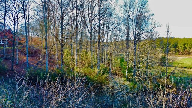 16 Anns Way, Blairsville, GA 30512