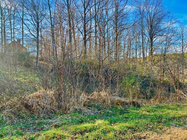 16 Anns Way, Blairsville, GA 30512