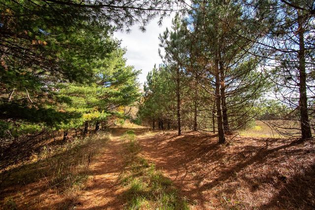 E516 Rustad ROAD, Iola, WI 54945