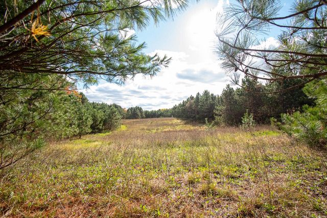 E516 Rustad ROAD, Iola, WI 54945