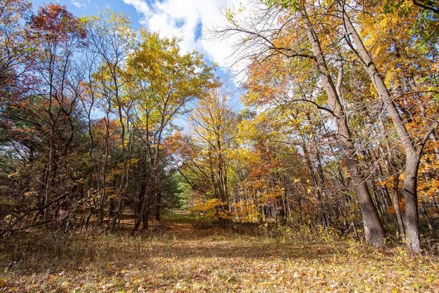 E516 Rustad ROAD, Iola, WI 54945