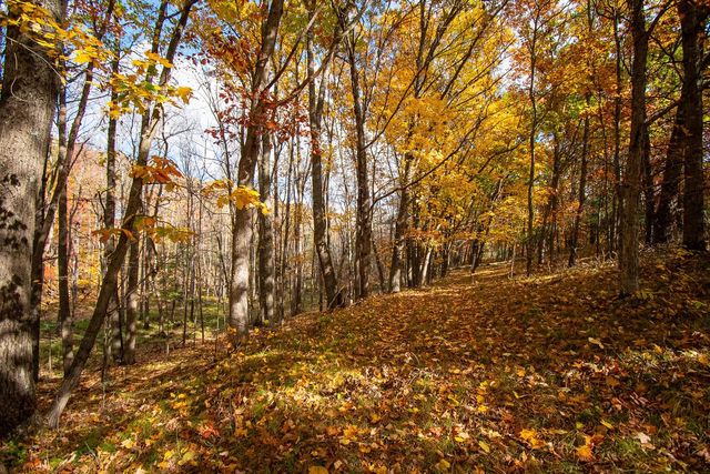 E516 Rustad ROAD, Iola, WI 54945