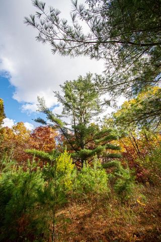 E516 Rustad ROAD, Iola, WI 54945