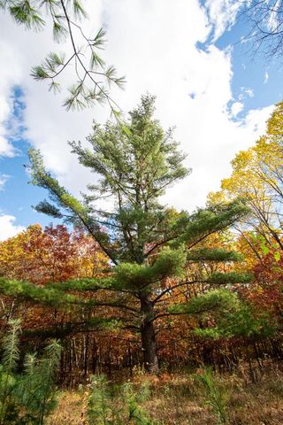 E516 Rustad ROAD, Iola, WI 54945