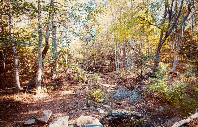 TBD Adventure Trail, Trinity, TX 75862