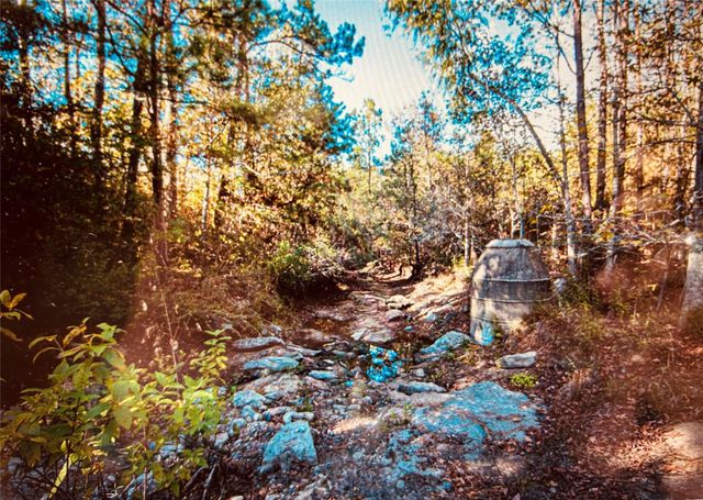 TBD Adventure Trail, Trinity, TX 75862