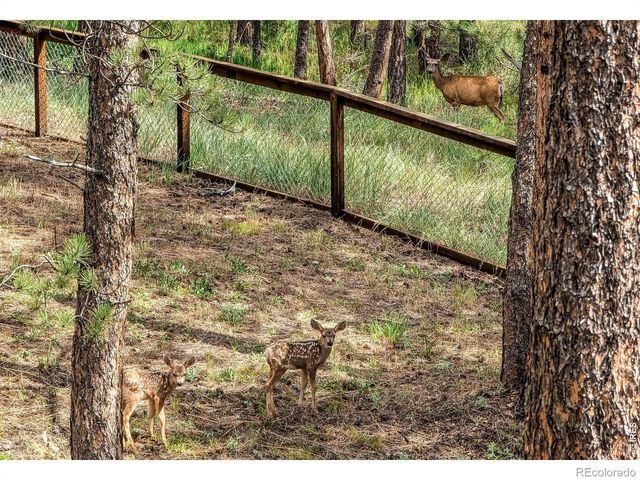 166 Cherokee Road, Lyons, CO 80540