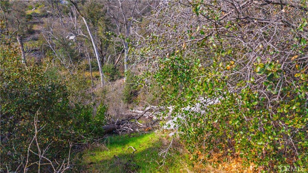 Image 31 of property listing at 2320 Painted Pony Road, Somerset, CA 95684