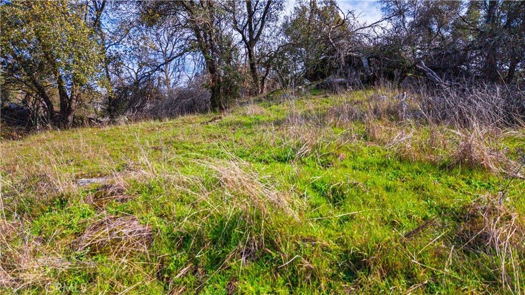 Image 35 of property listing at 2320 Painted Pony Road, Somerset, CA 95684