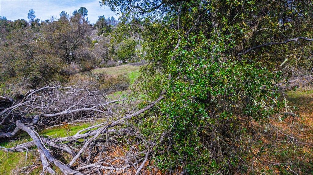 Image 38 of property listing at 2320 Painted Pony Road, Somerset, CA 95684