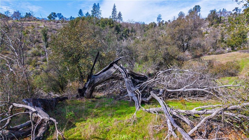 Image 40 of property listing at 2320 Painted Pony Road, Somerset, CA 95684