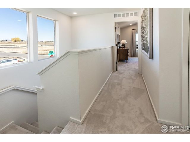 975 Trumpet Ln, Windsor, CO 80550