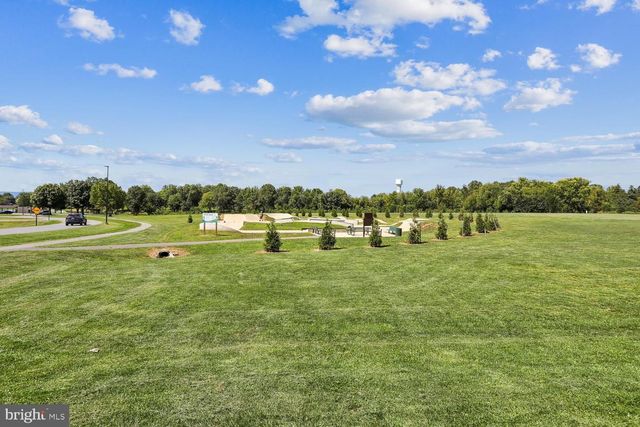 301 CONE BRANCH DR, Middletown, MD 21769