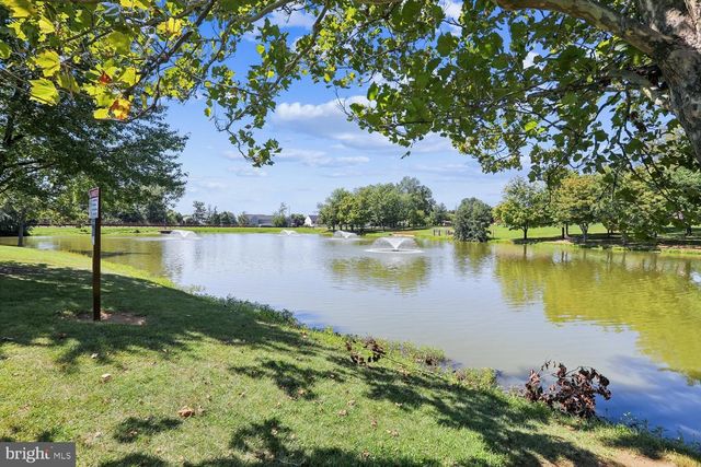 301 CONE BRANCH DR, Middletown, MD 21769