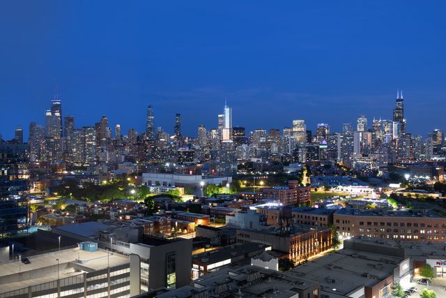 860 W Blackhawk Street 1702, Chicago, IL 60642