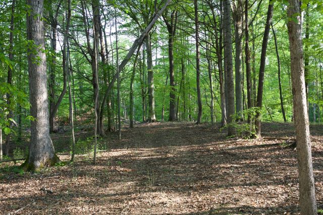 0 Hankins Rd, Rock Island, TN 38581