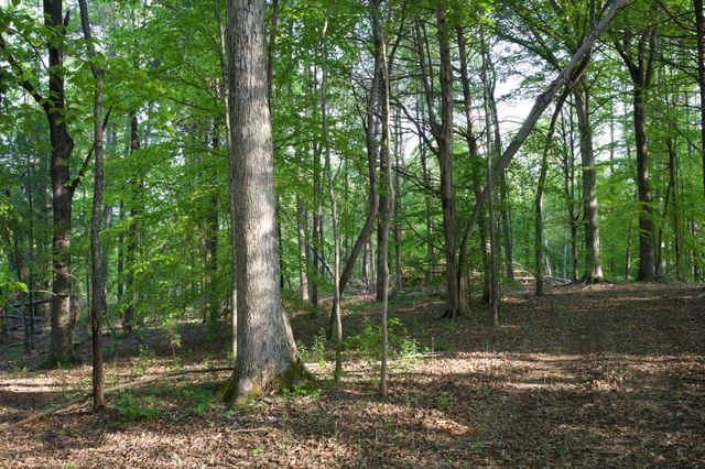 0 Hankins Rd, Rock Island, TN 38581