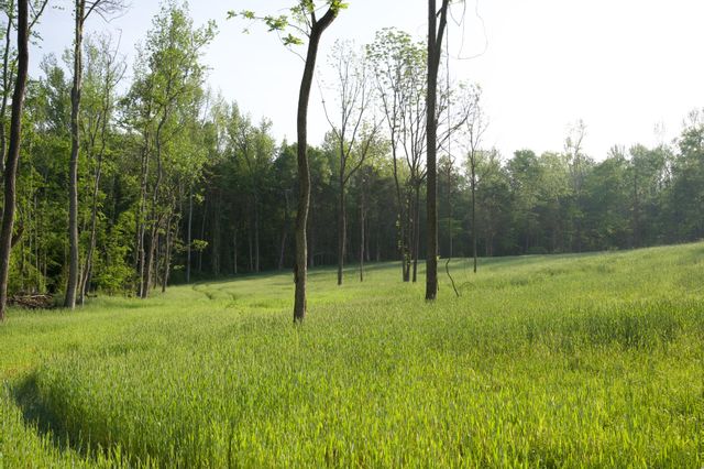 0 Hankins Rd, Rock Island, TN 38581