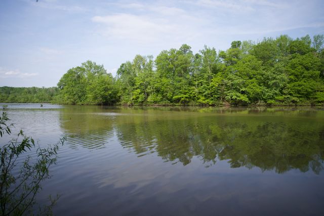 0 Hankins Rd, Rock Island, TN 38581