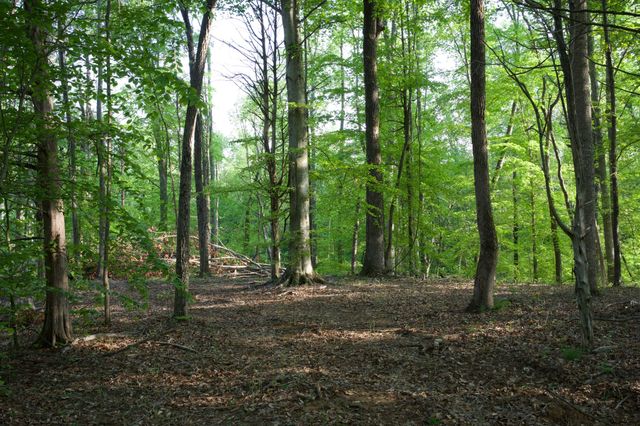 0 Hankins Rd, Rock Island, TN 38581