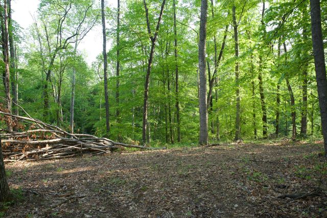 0 Hankins Rd, Rock Island, TN 38581