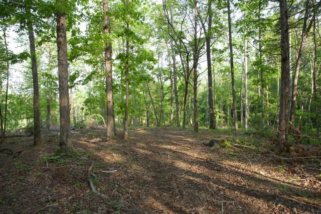 0 Hankins Rd, Rock Island, TN 38581