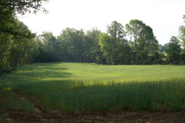 0 Hankins Rd, Rock Island, TN 38581